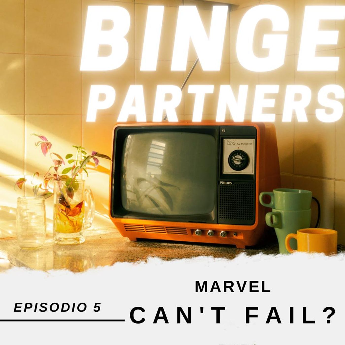 BINGE PARTNERS