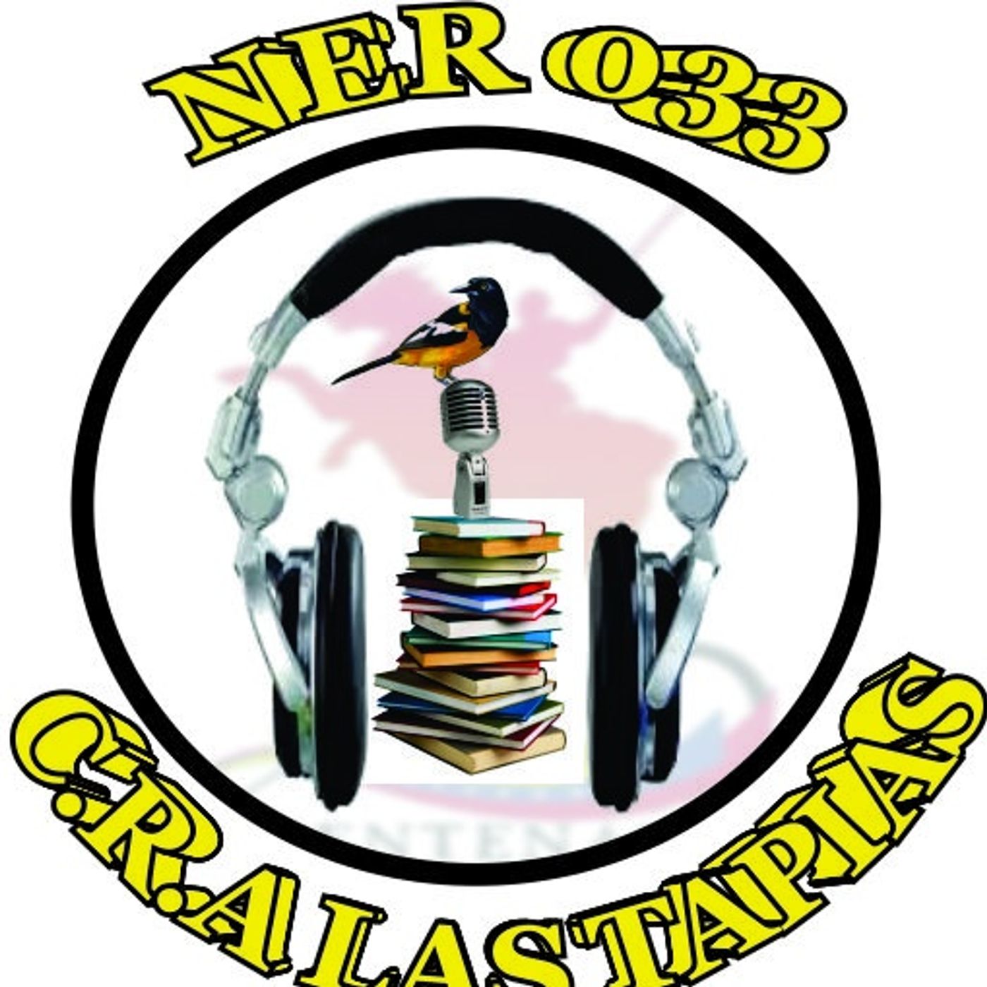 Programa La Voz Escolar del NER 033 U.E. LAS TAPIAS episode artwork