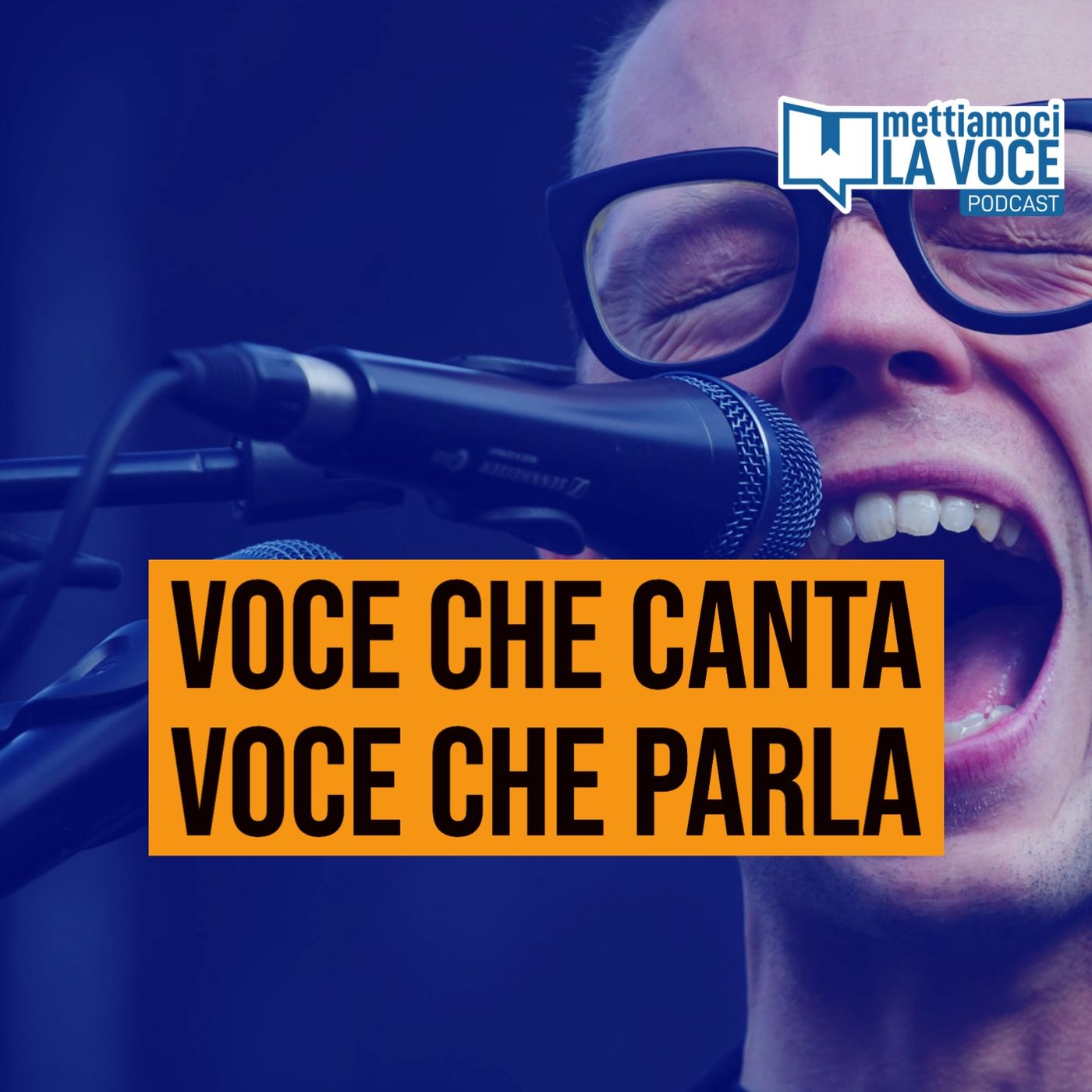 Mettiamoci la Voce