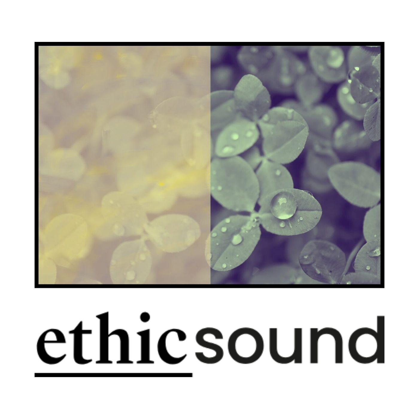 Portada de EthicSound