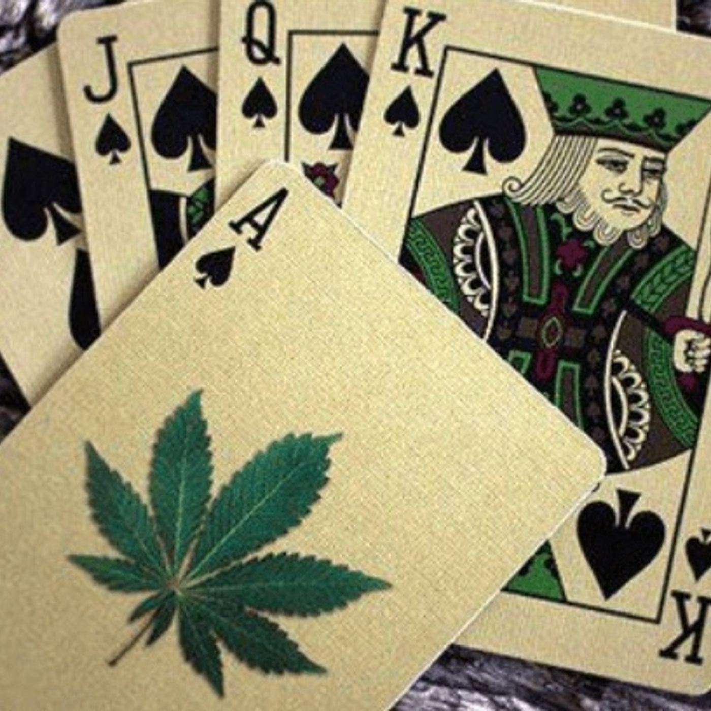 Cannabis in New Mexico and Show Updates