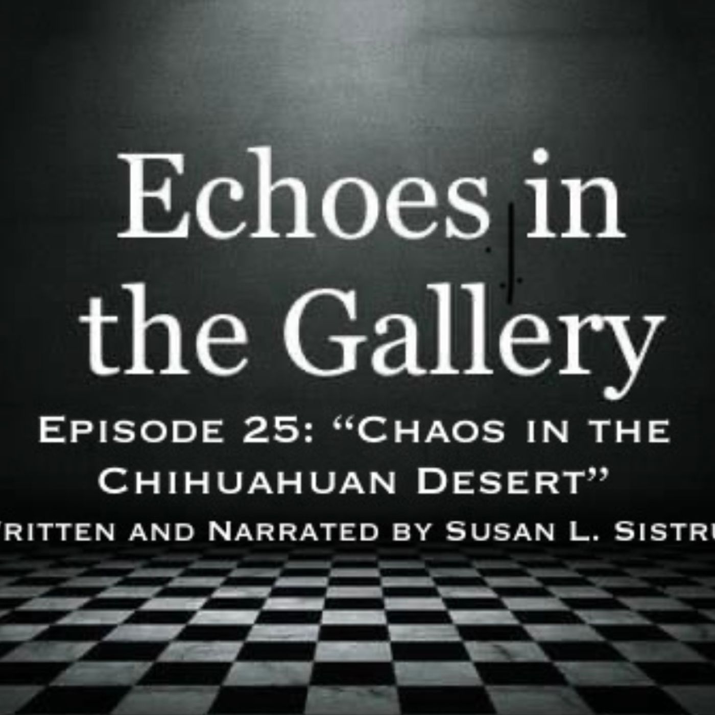 Echoes in the Gallery