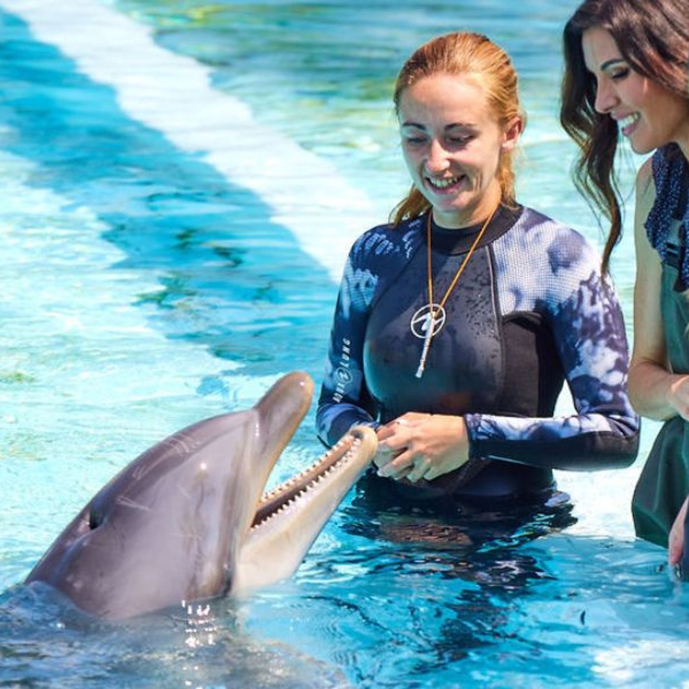 Nizza24 lunedì 29 settembre: Dove Andranno i Delfini di Marineland? - Famiglia Salvata in Montagna - Météo Lunedì