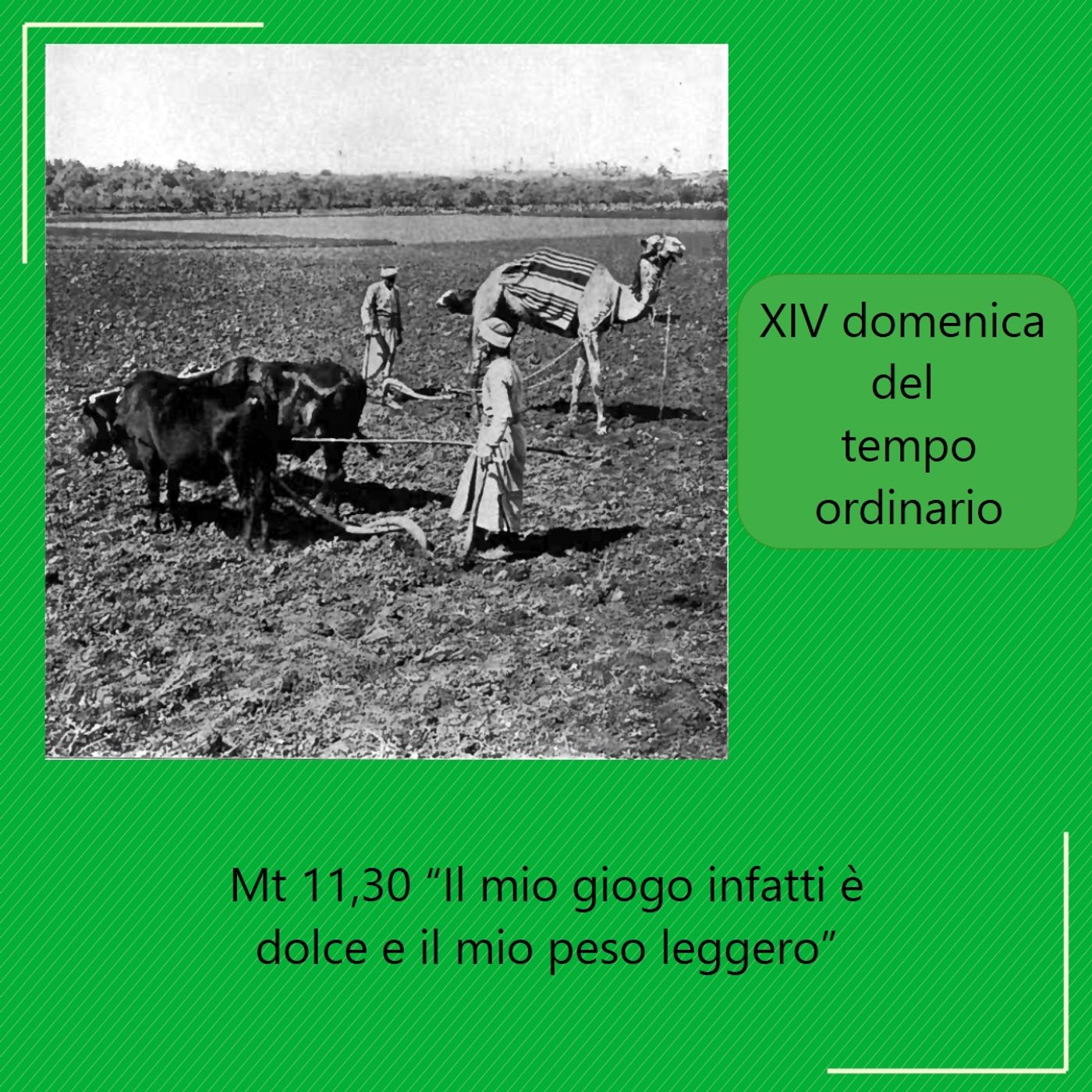 20260705-Letture-14TO episode artwork
