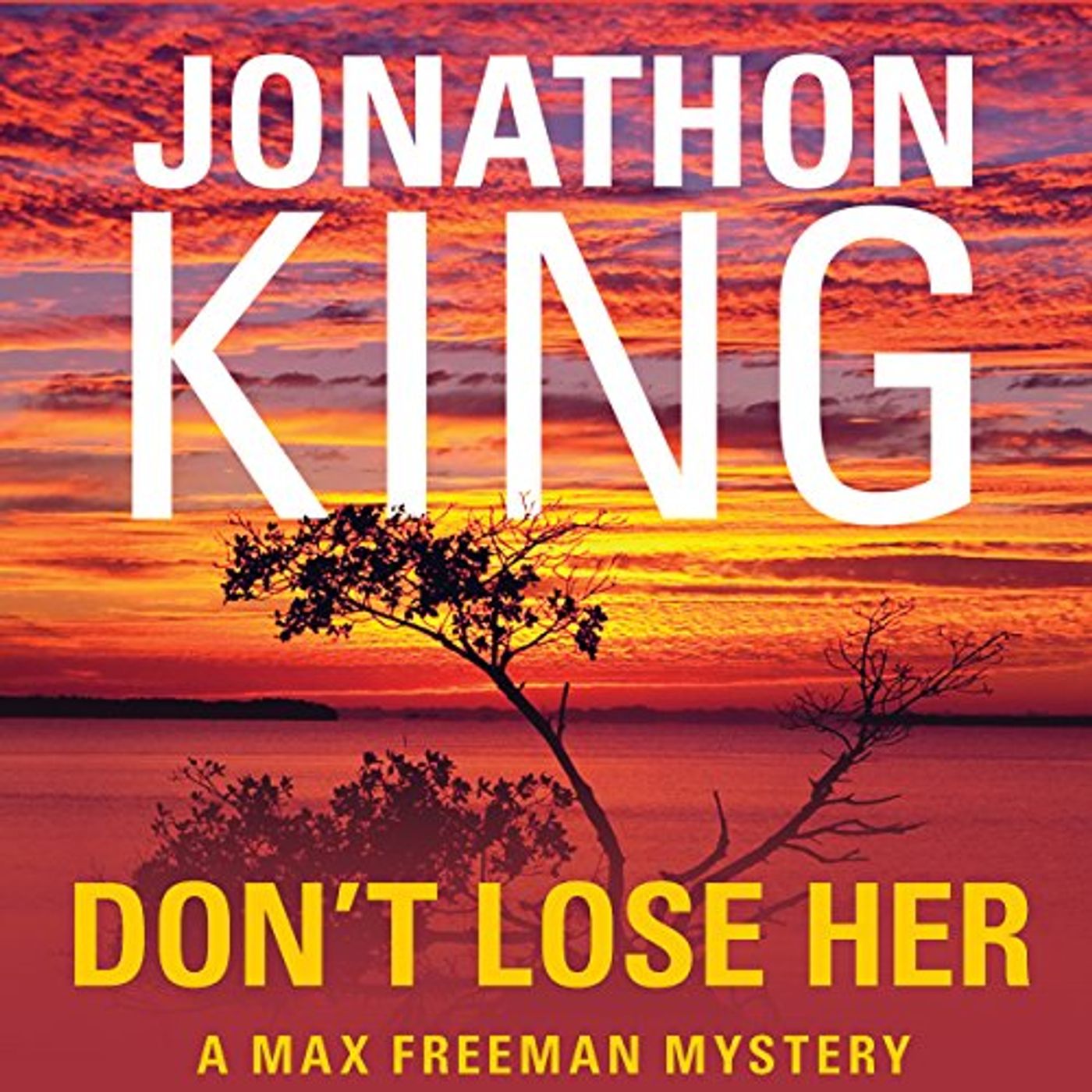 Discover Popular Authors Audiobooks in Mysteries & Thrillers, Suspense