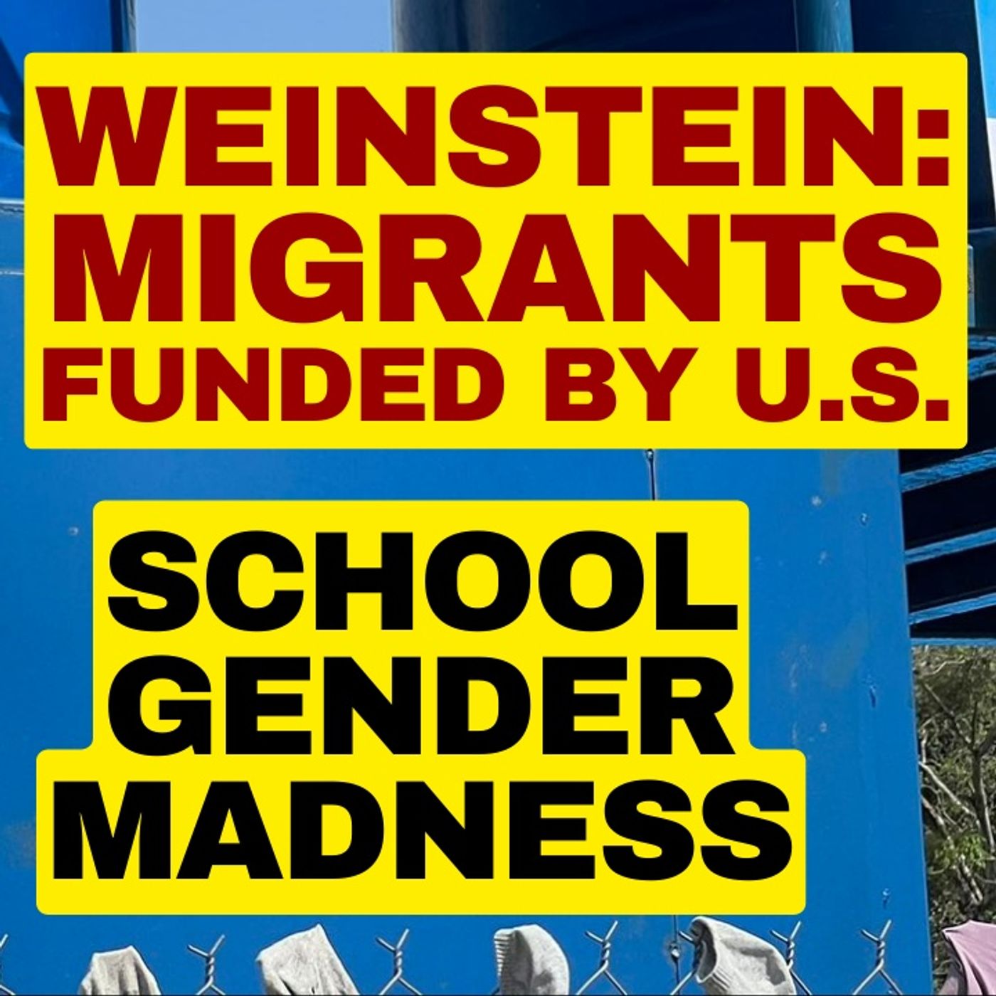 Bret Weinstein, School Gender Madness (Live Clip) episode artwork