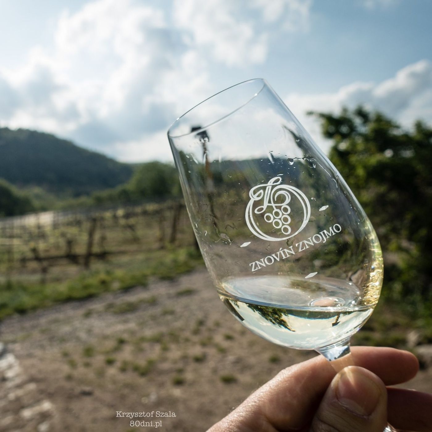 Morawy Południowe – (nie)winny raj