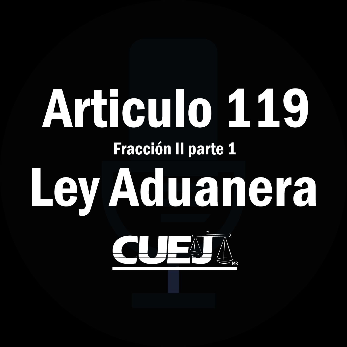 Audio Ley Aduanera