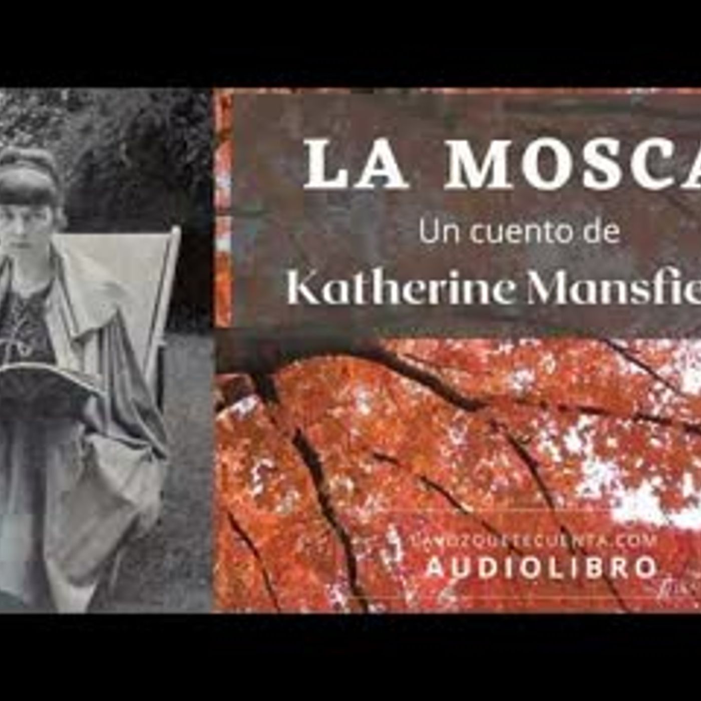 Audiolibro En Español