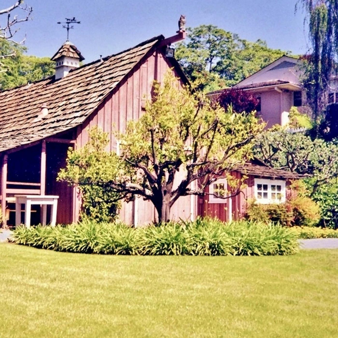 Walt\'s Apartment