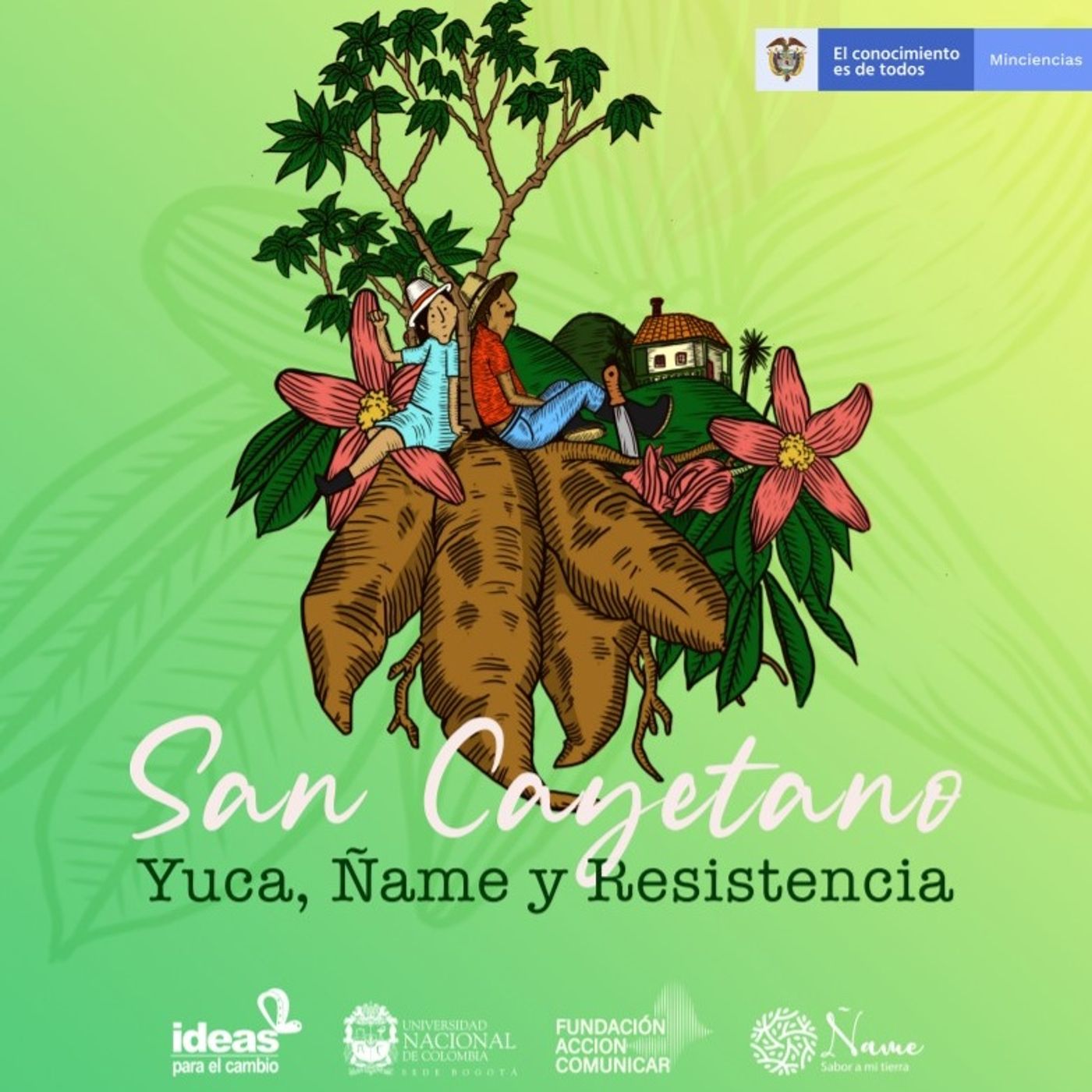 San Cayetano: yuca, ñame y resistencia