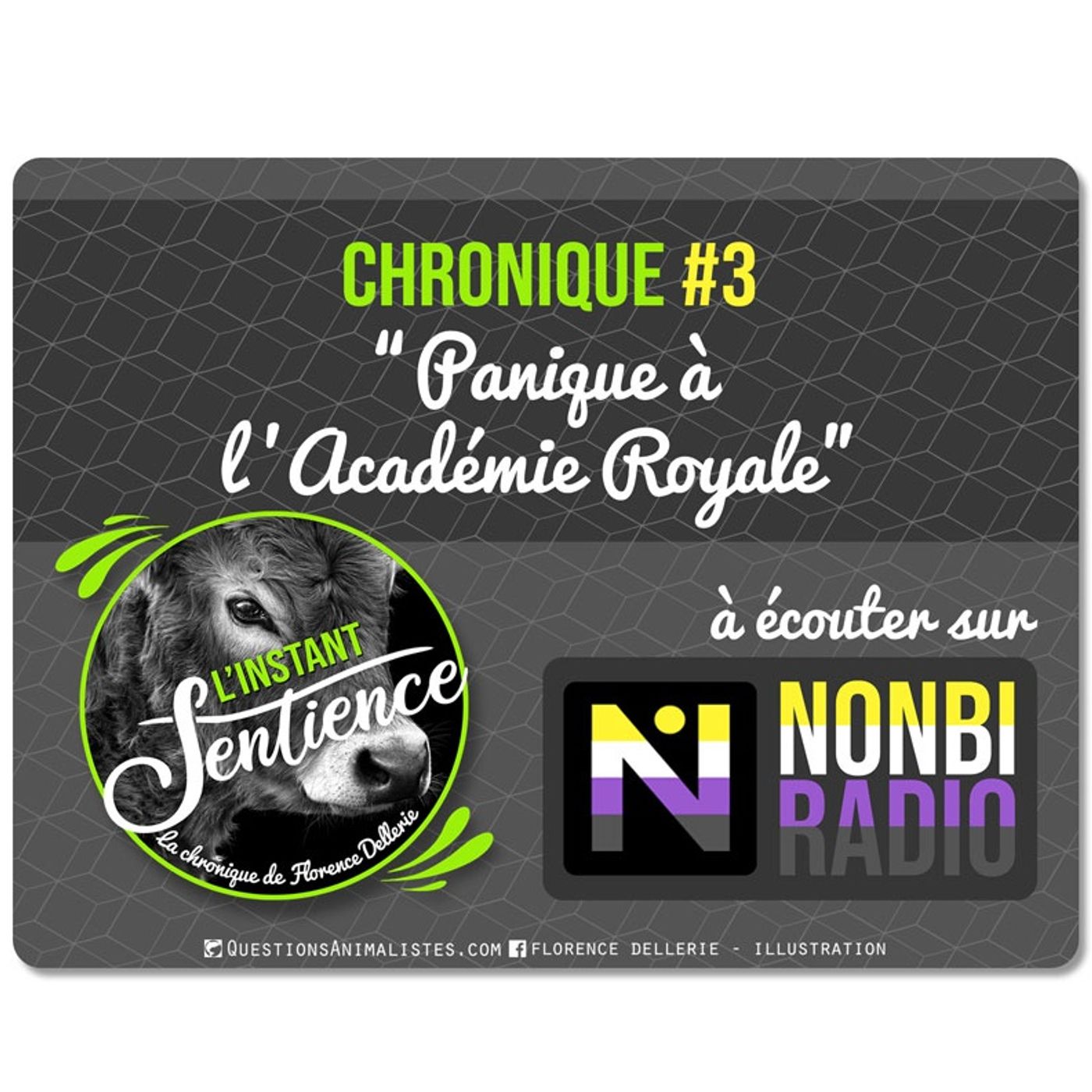 NONBI Radio
