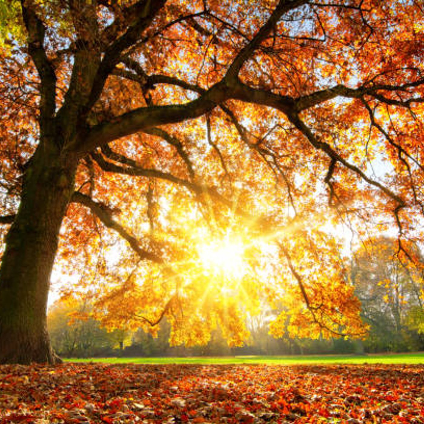 You Are Spiritual Sunshine, We Are All One with God at Our Core episode artwork