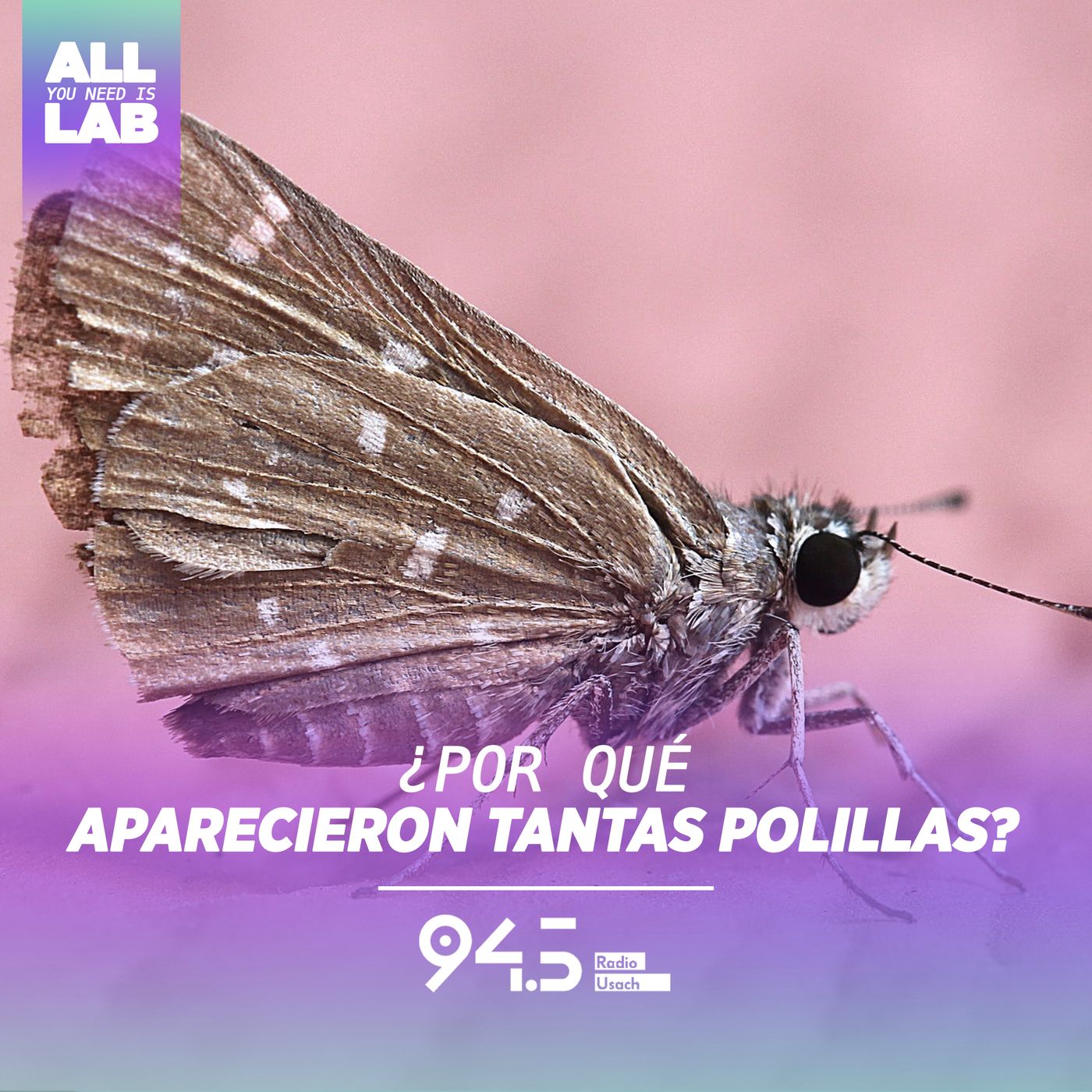 All you need is LAB