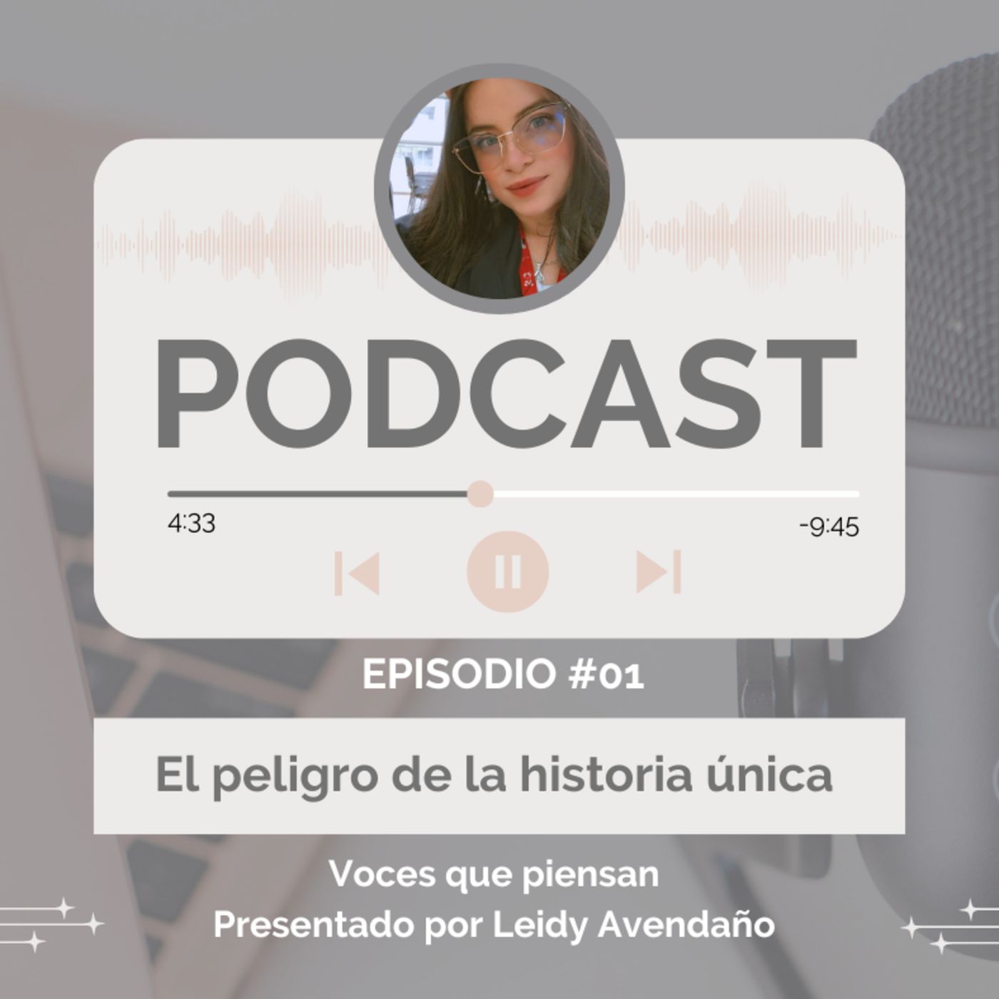 El peligro de la historia única episode artwork