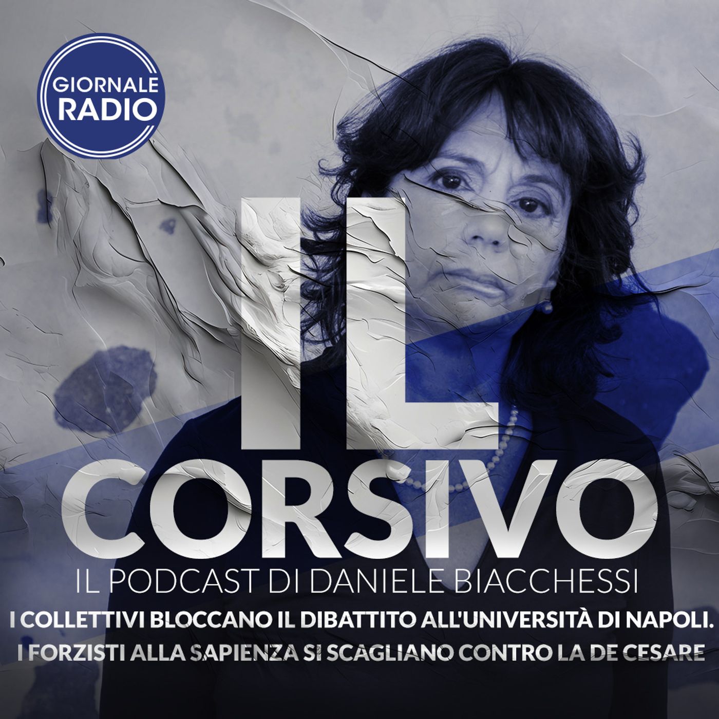 I collettivi bloccano il dibattito all'università di Napoli. I forzisti alla Sapienza si scagliano contro la De Cesare | 16/03/2024 | Il Cor episode artwork