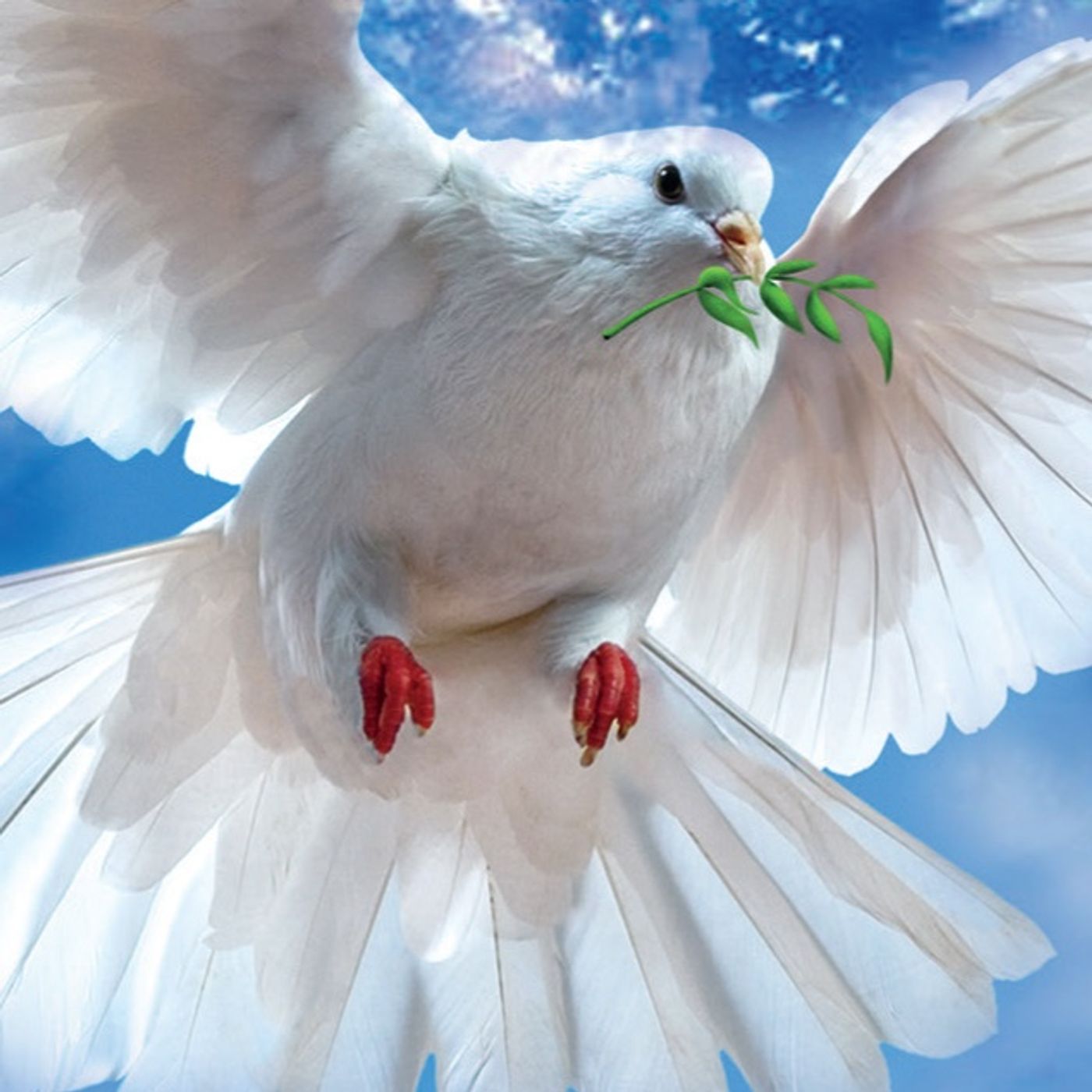 Peace Project