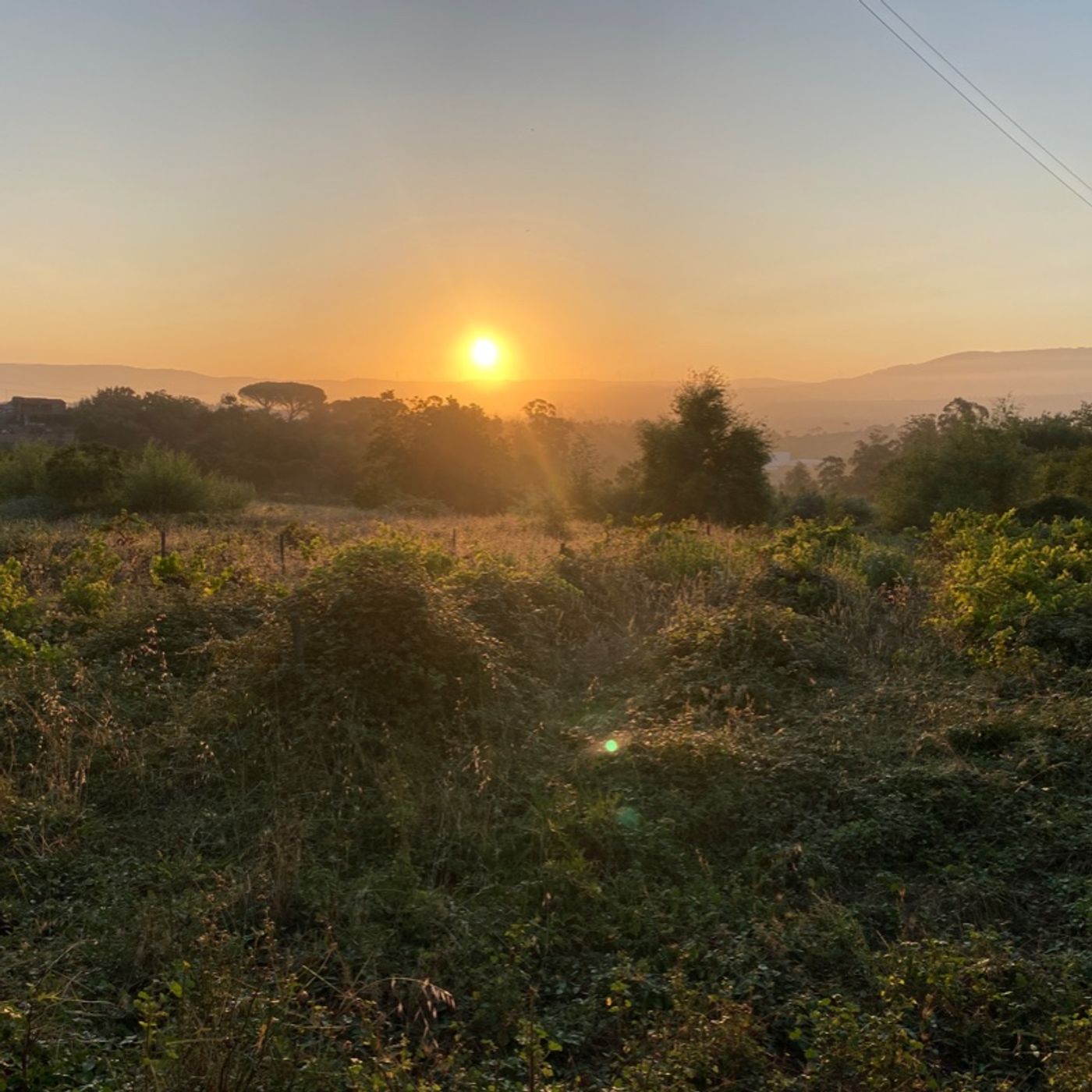 11. Da Coimbra verso Porto