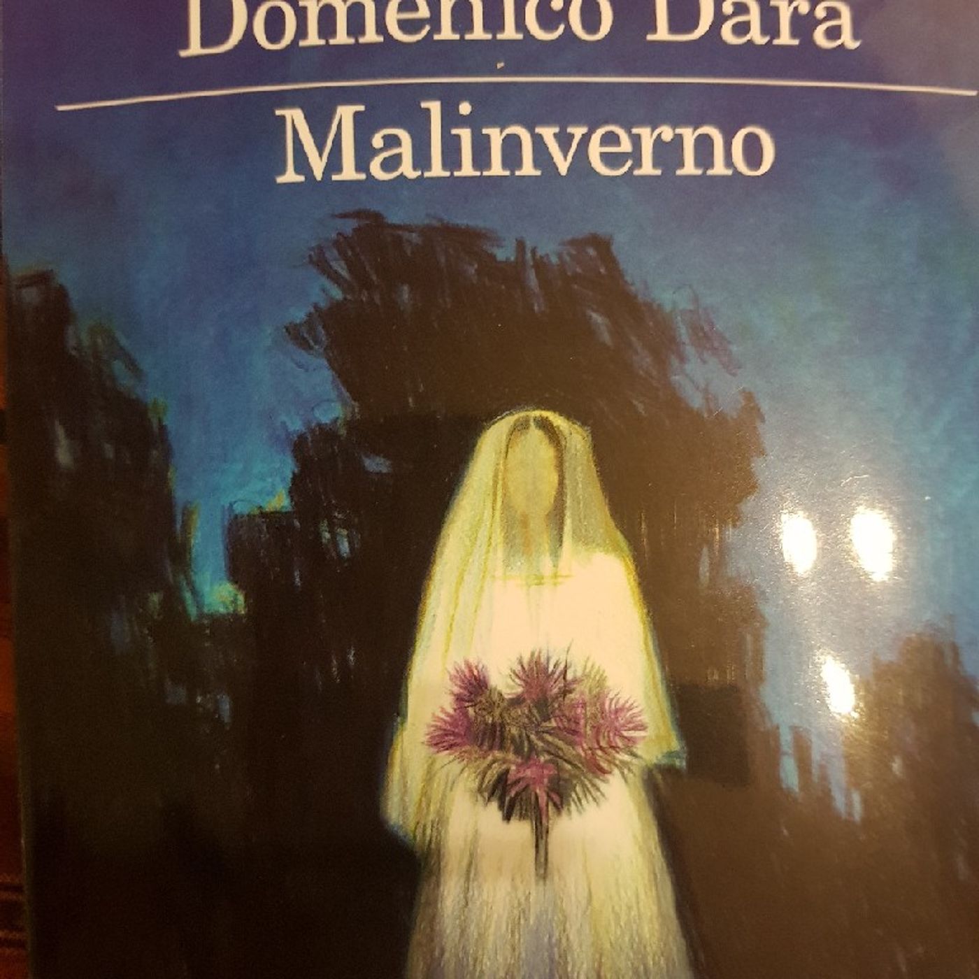 Domenico Dara : Malinverno