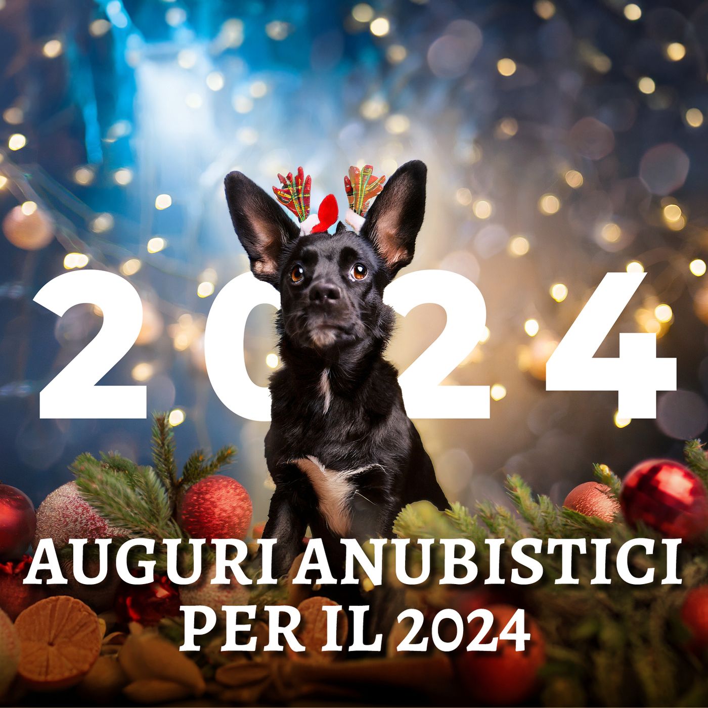 Comunicazione augurale del Profeta per il 2024 episode artwork