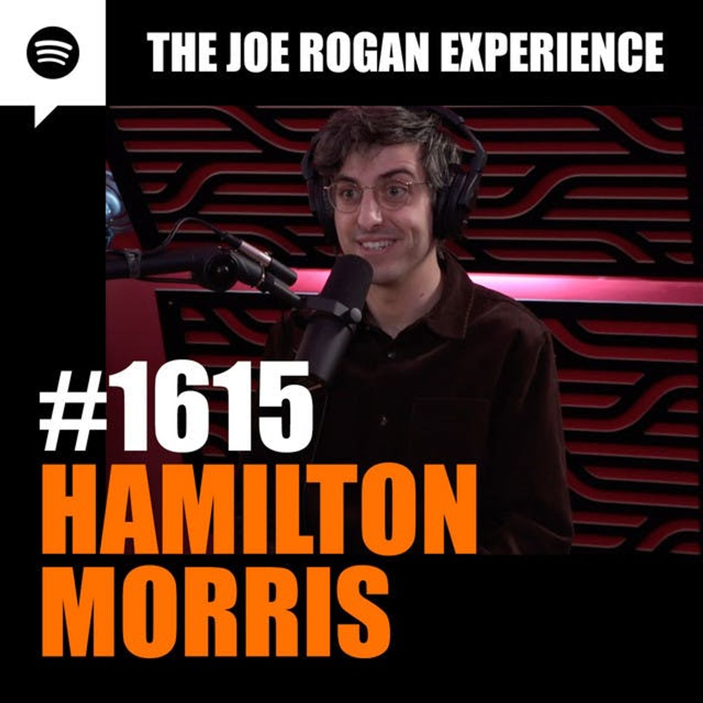 The Joe Rogan Experience