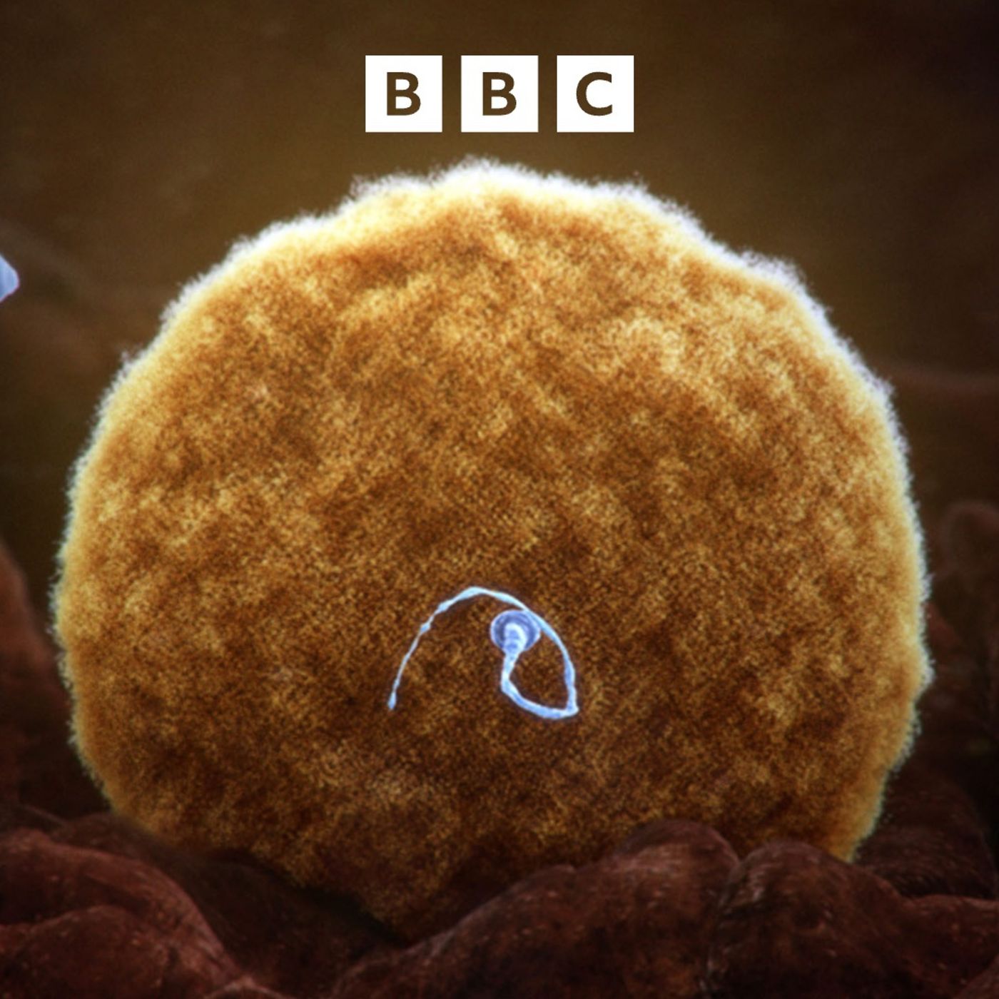 Cancer-causing gene found in donor sperm across Europe episode artwork