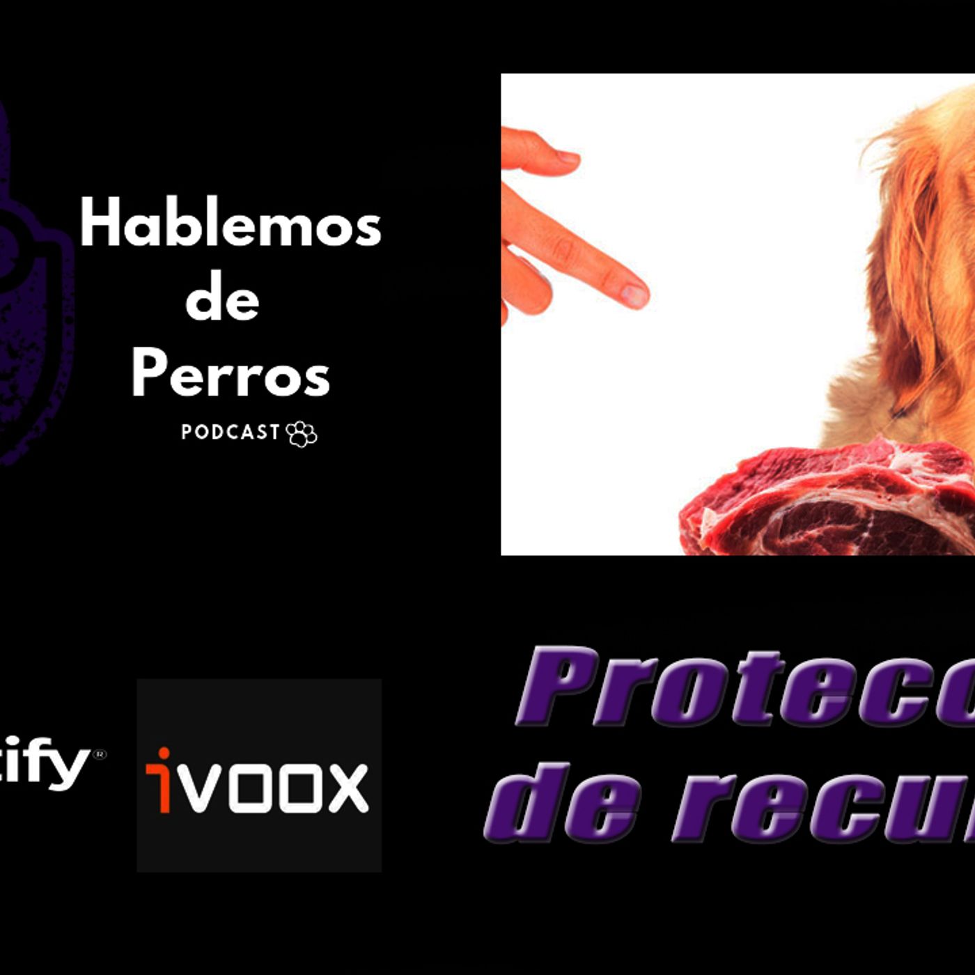 Hablemos de perros