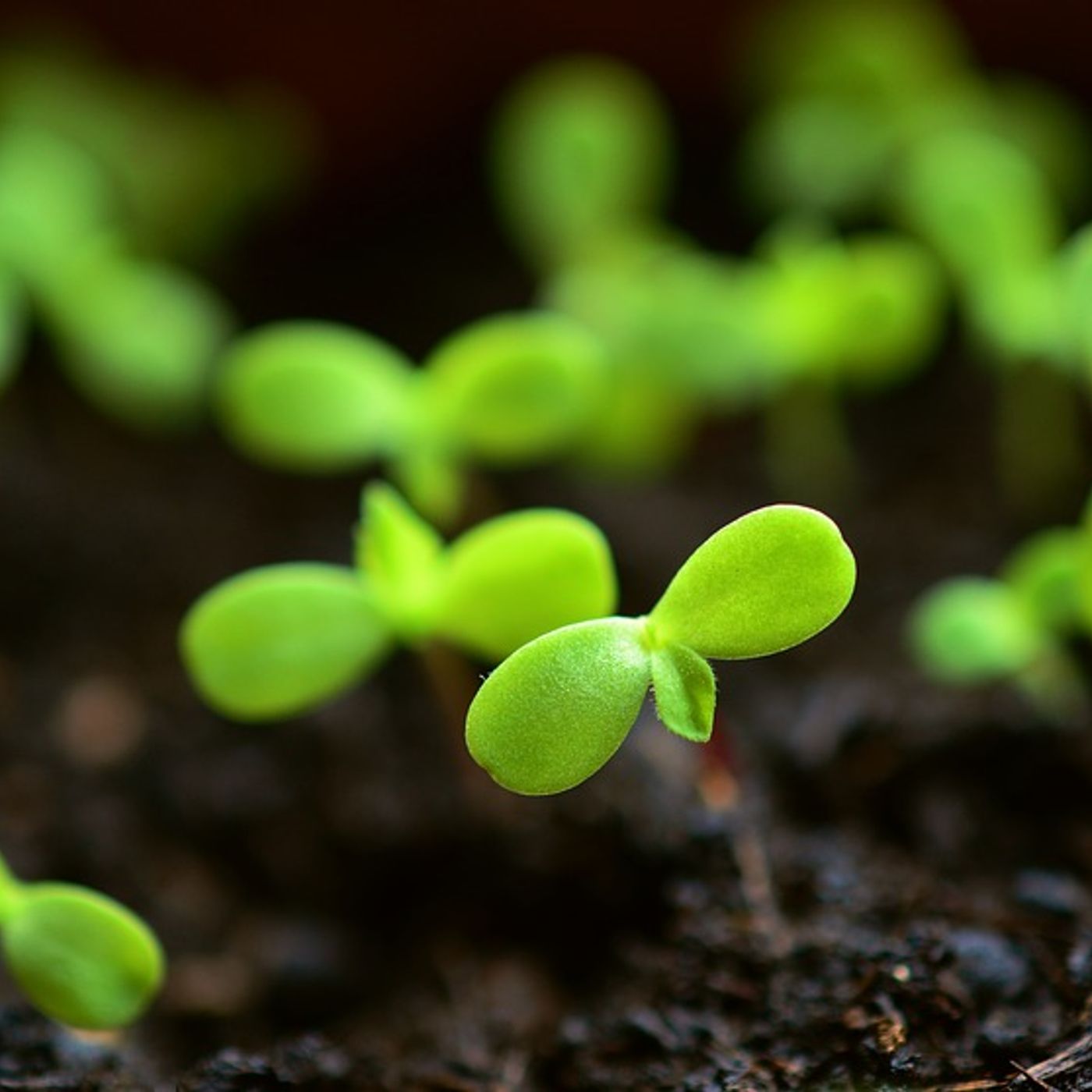 Le news di Re Soil Foundation