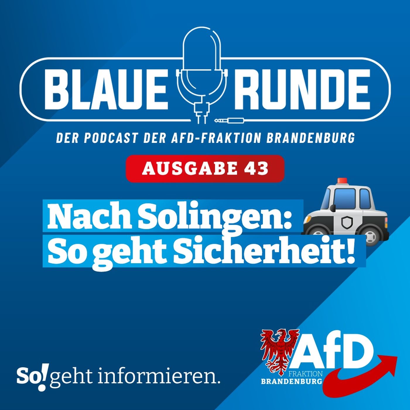 Nach Solingen: So geht Sicherheit! | Die Blaue Runde, Ausgabe 43/24 vom 30.08.2024 episode artwork
