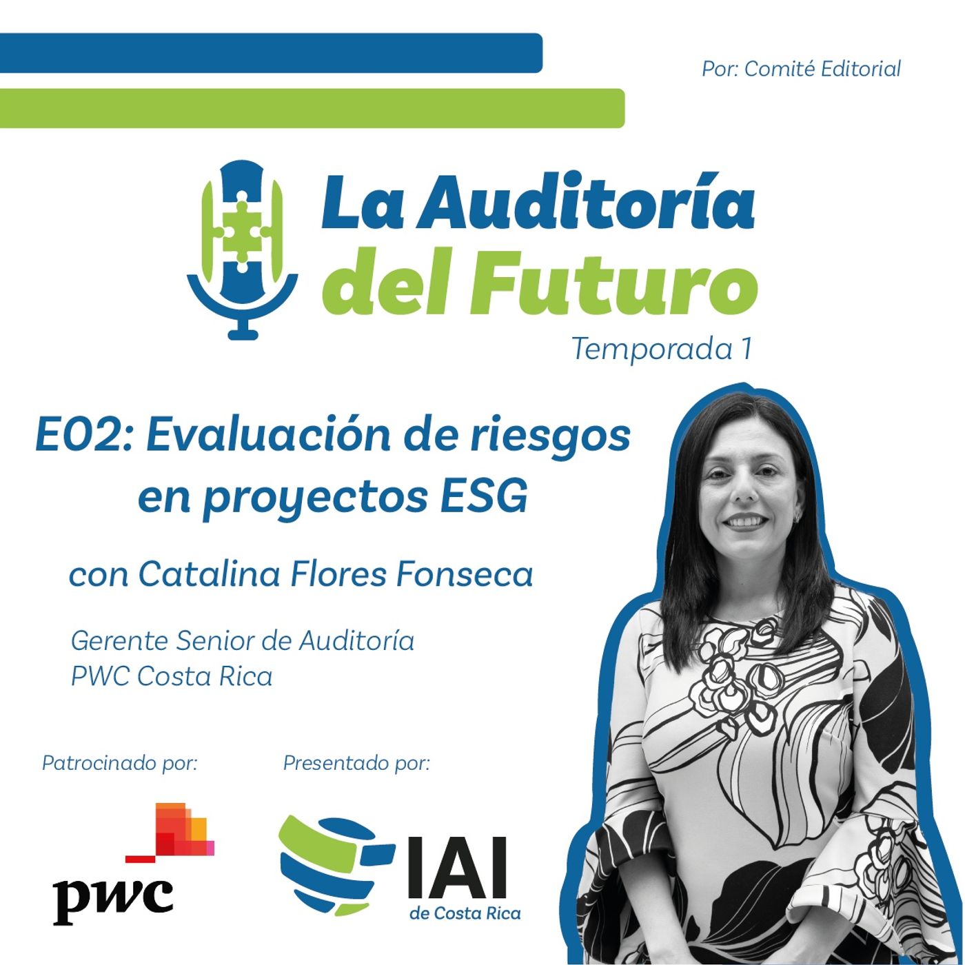 La Auditoría del Futuro