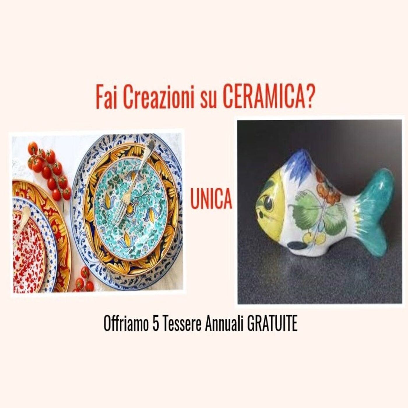 Gruppo TELEGRAM: Progetto tuunica