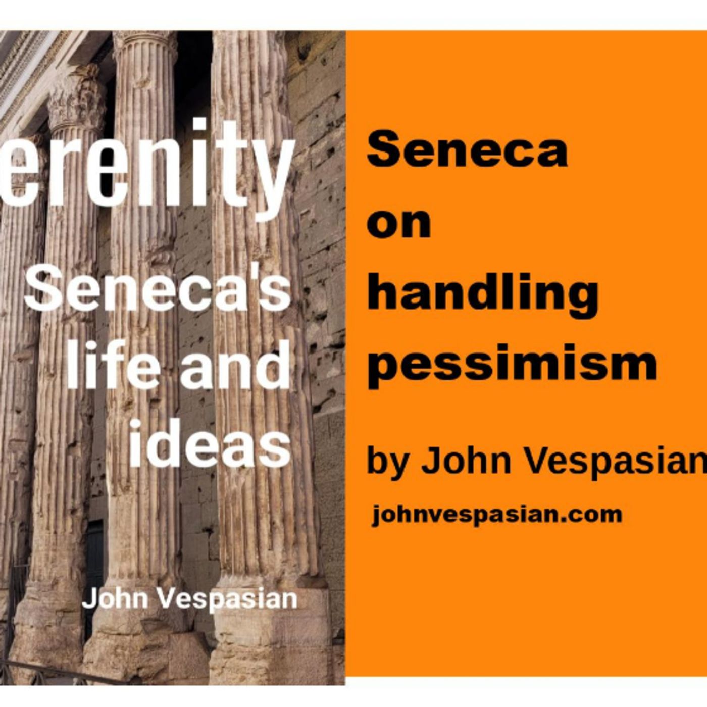 Seneca on handling pessimism episode artwork
