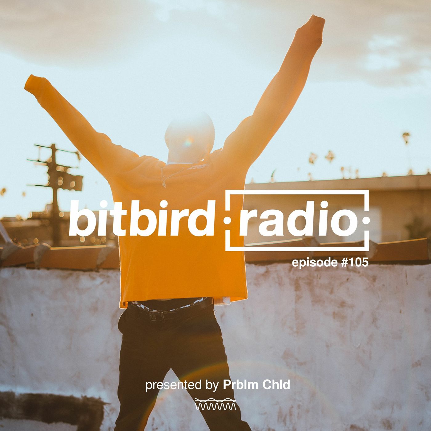 Prblm Chld Presents: bitbird radio #105