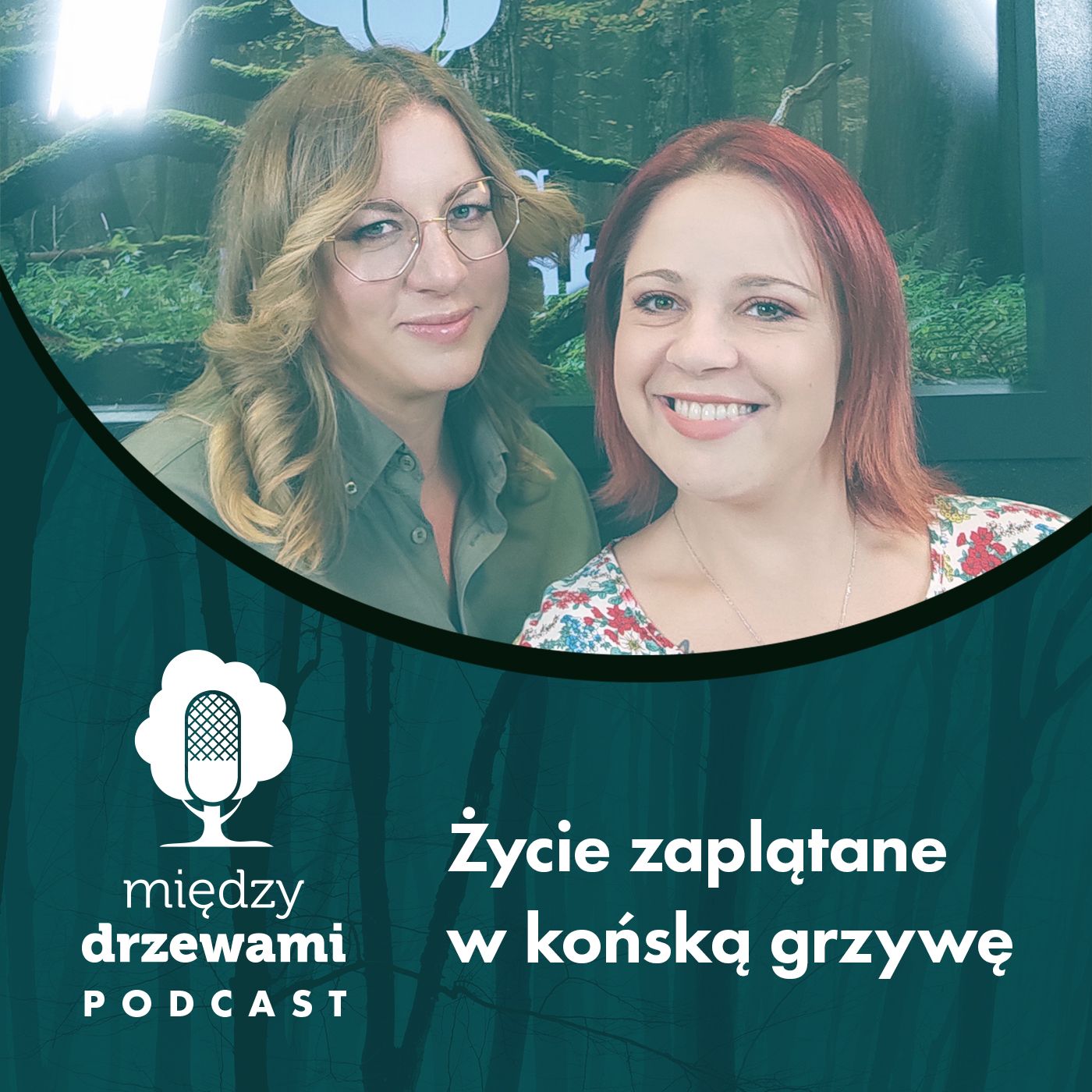 Między Drzewami Podcast