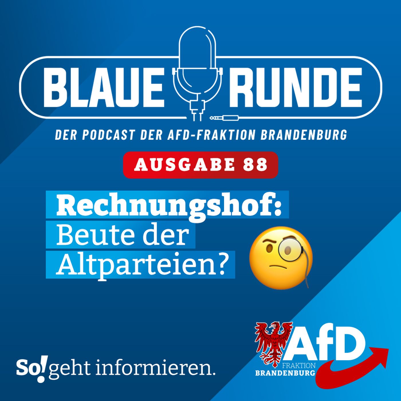 Die Blaue Runde - der Podcast der AfD-Fraktion Brandenburg