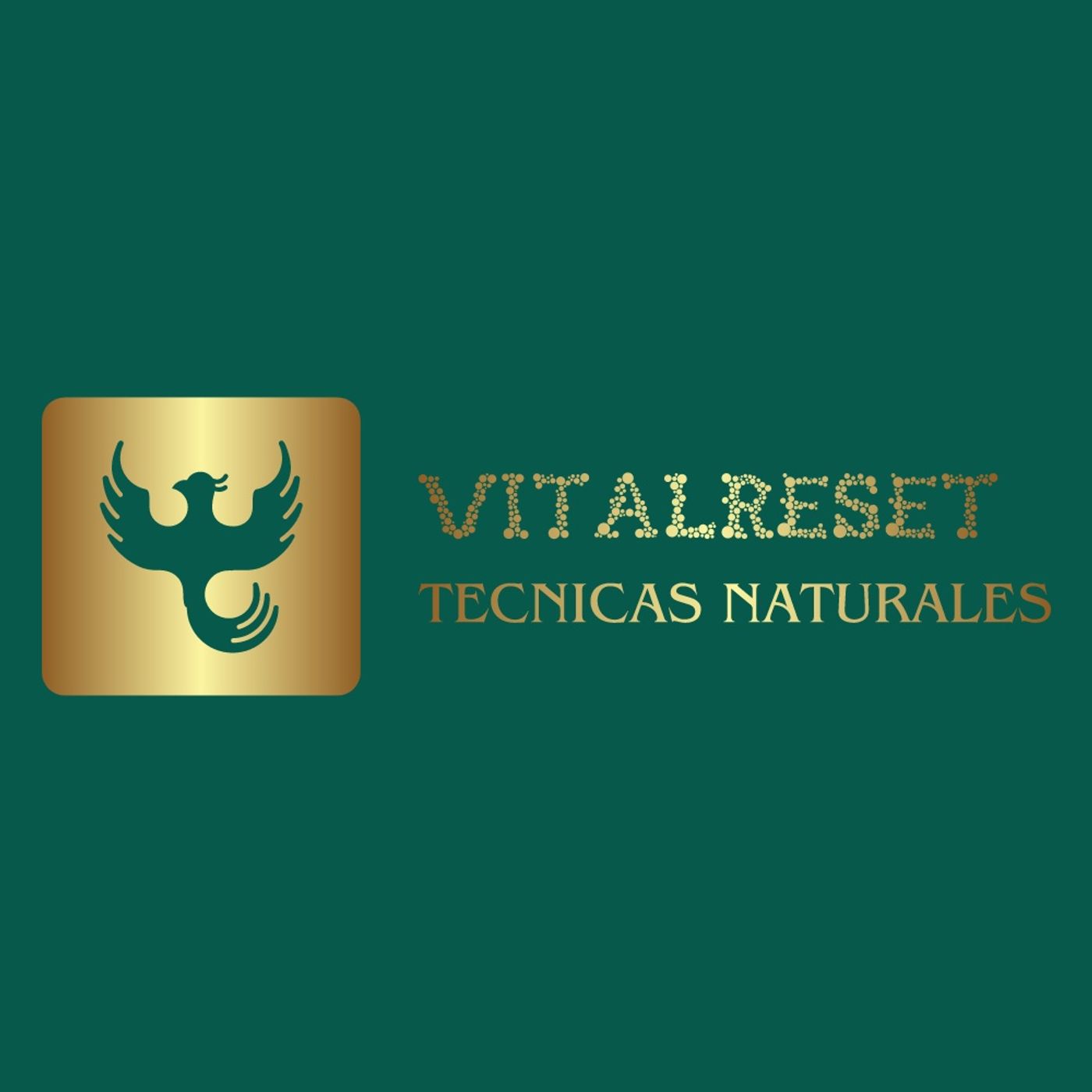 VitalReset: compartiendo consciencia