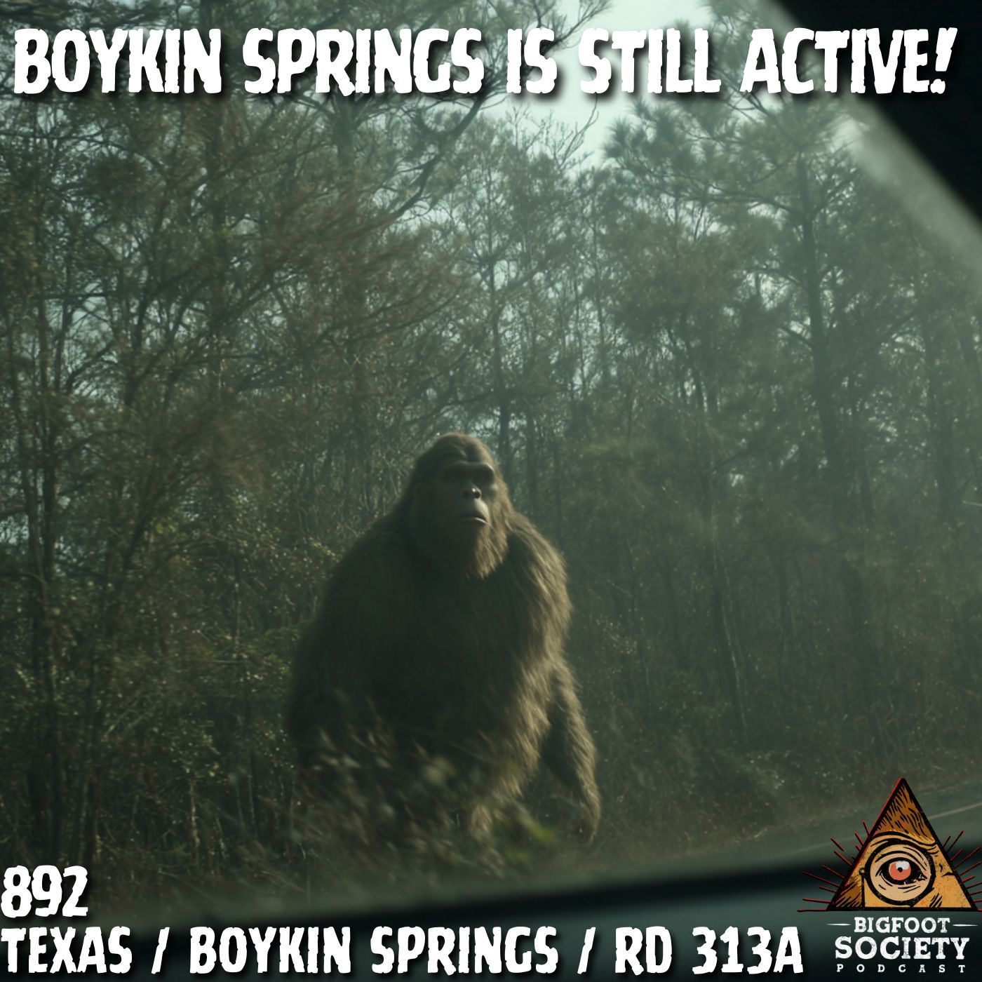 Every Time We Went, It Answered: Boykin Springs Bigfoot Encounters