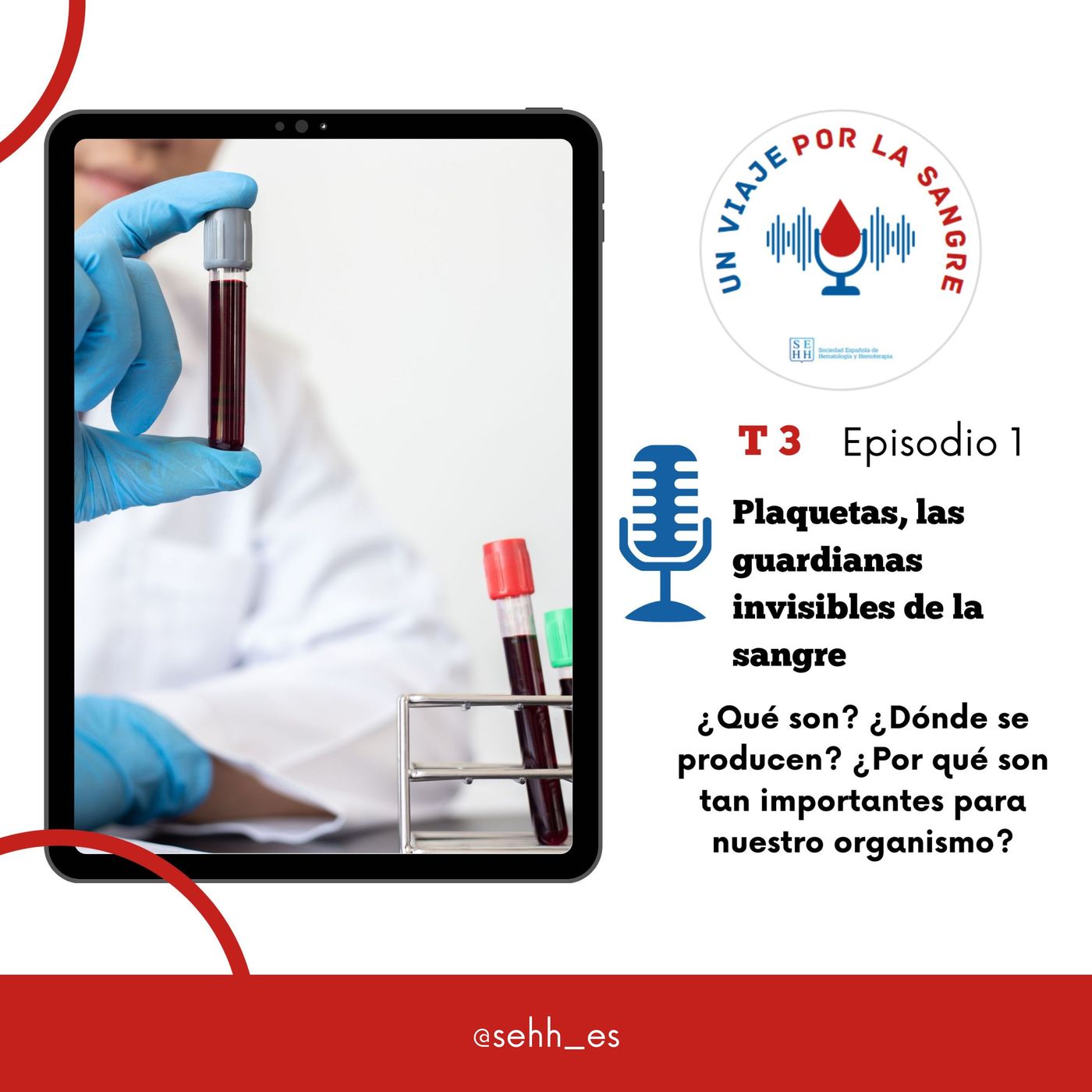Un viaje por la sangre, de la SEHH