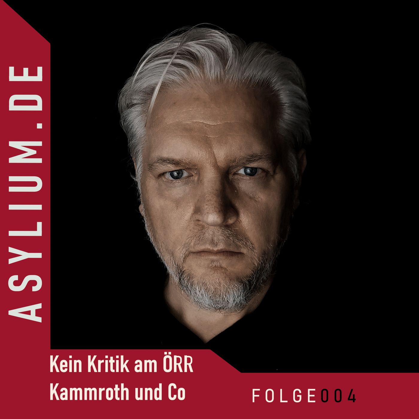 Asylium - Podcasts zum Zeitgeschehen