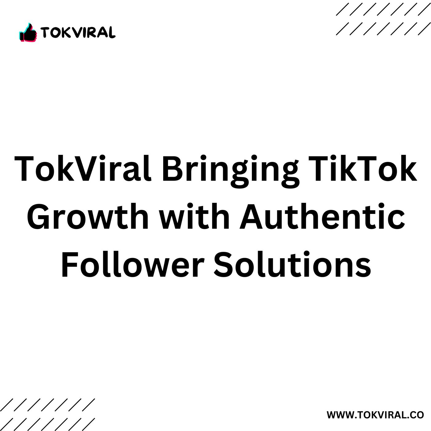 TokViral Bringing TikTok Growth with Authentic Follower Solutions episode artwork