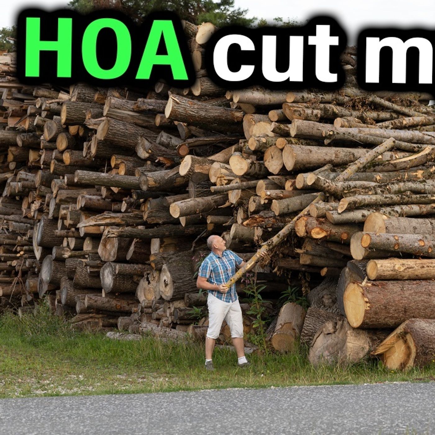 HOA Karen Sold Logging Rights on My Land.. My Trees are worth $450,000! r/Prorevenge