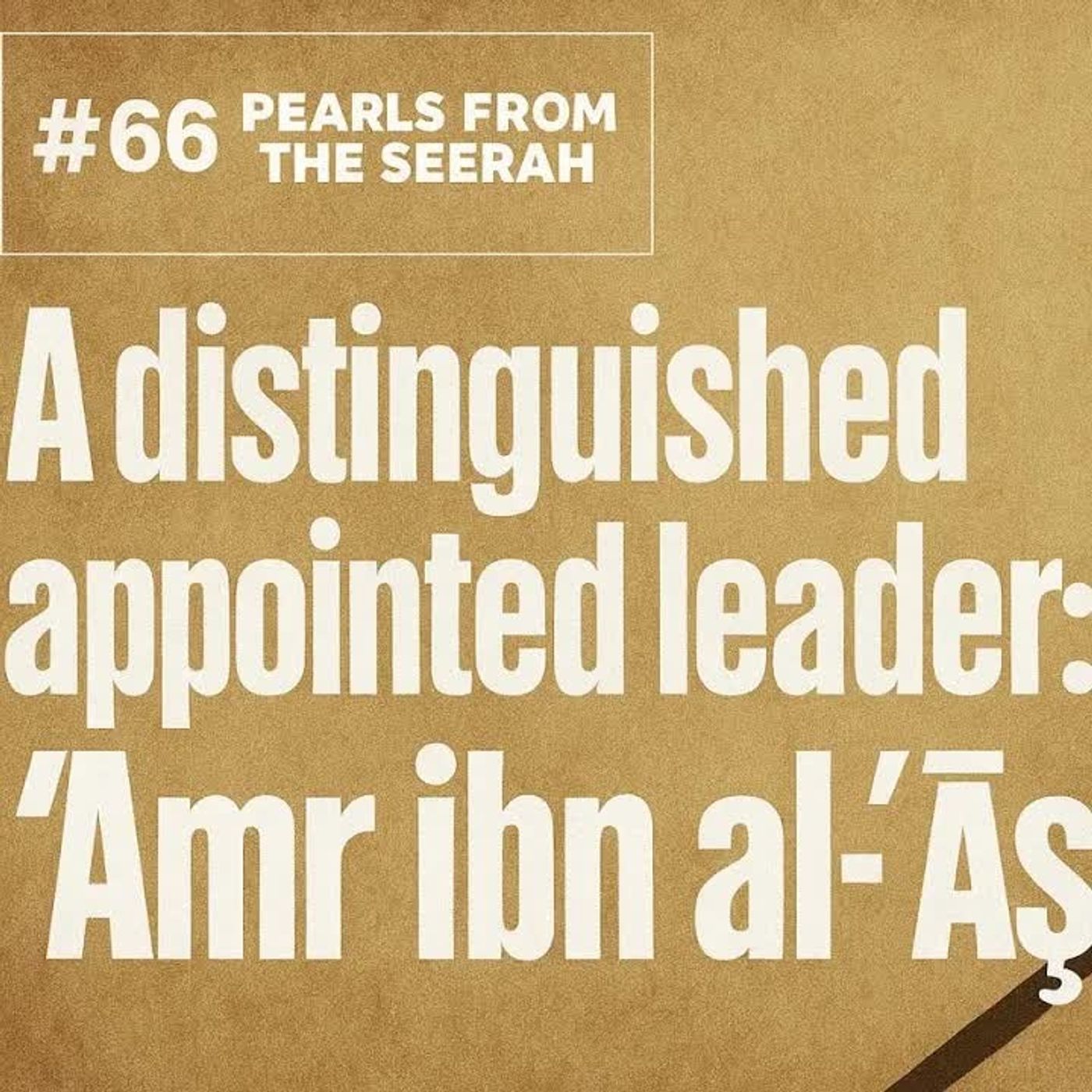 66 - A Distinguished Appointed Leader