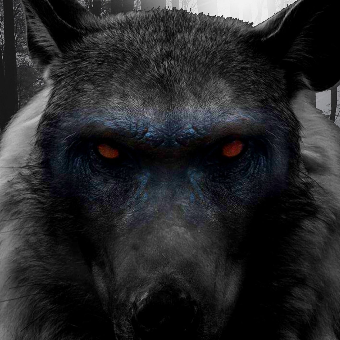 El Coyote Nahual Historias De Terror - REDE