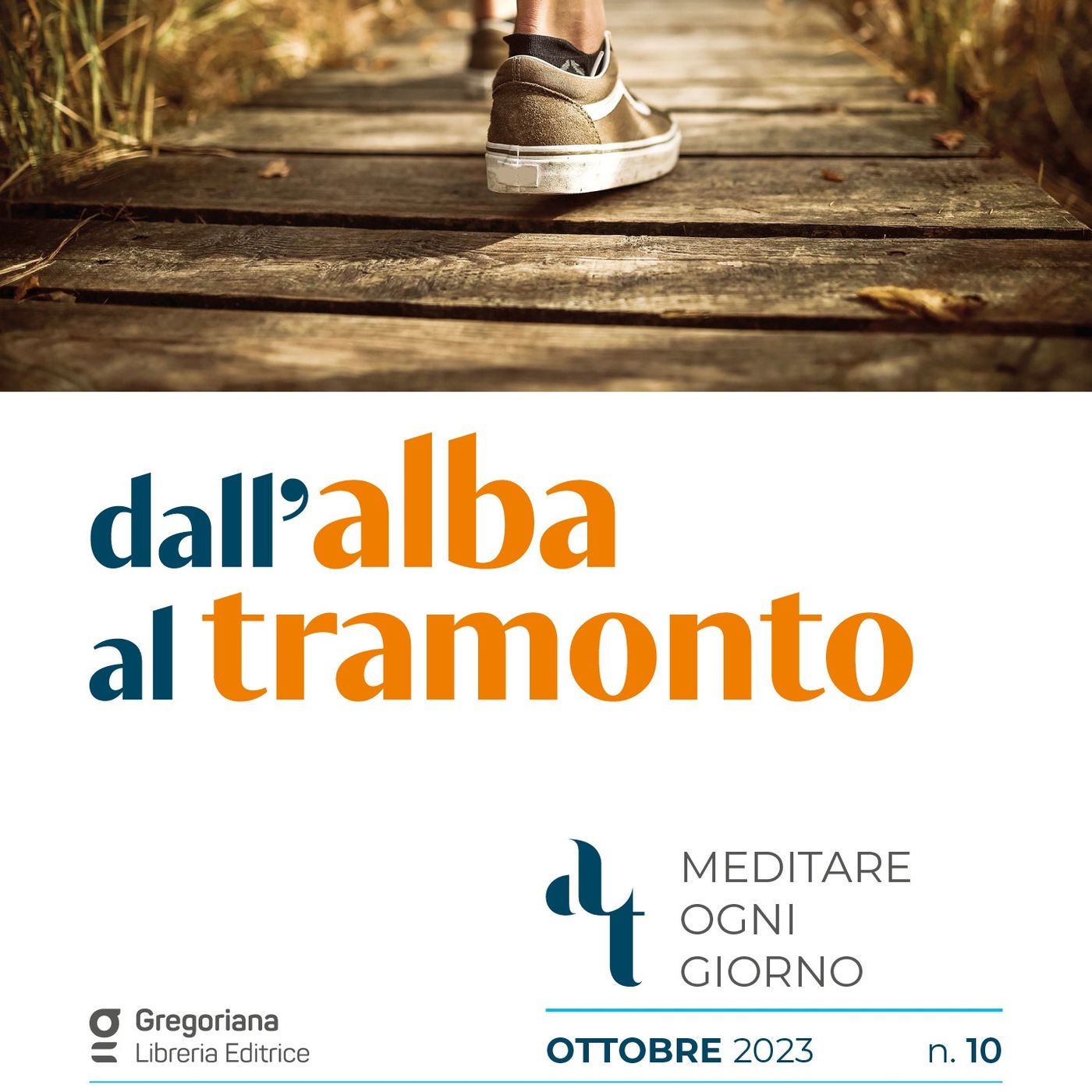 Domenica 29 ottobre 2023 - XXX domenica del Tempo Ordinario