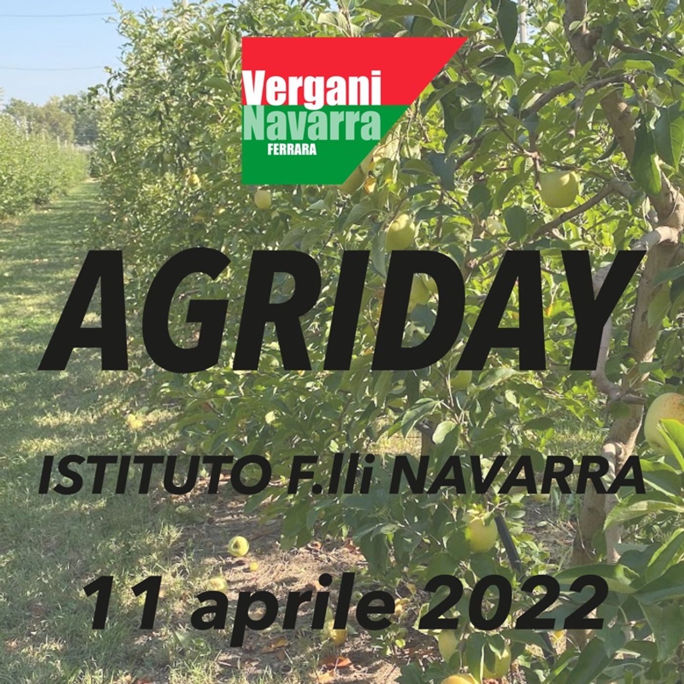 13 - Agriday al Navarra episode artwork