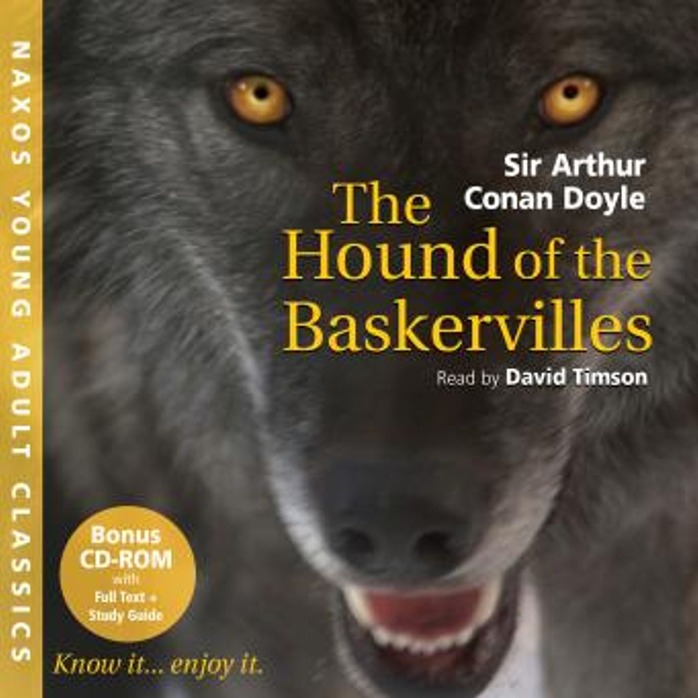 the Essential Full Audiobooks in Mystery, Thriller & Horror, Police & Detective