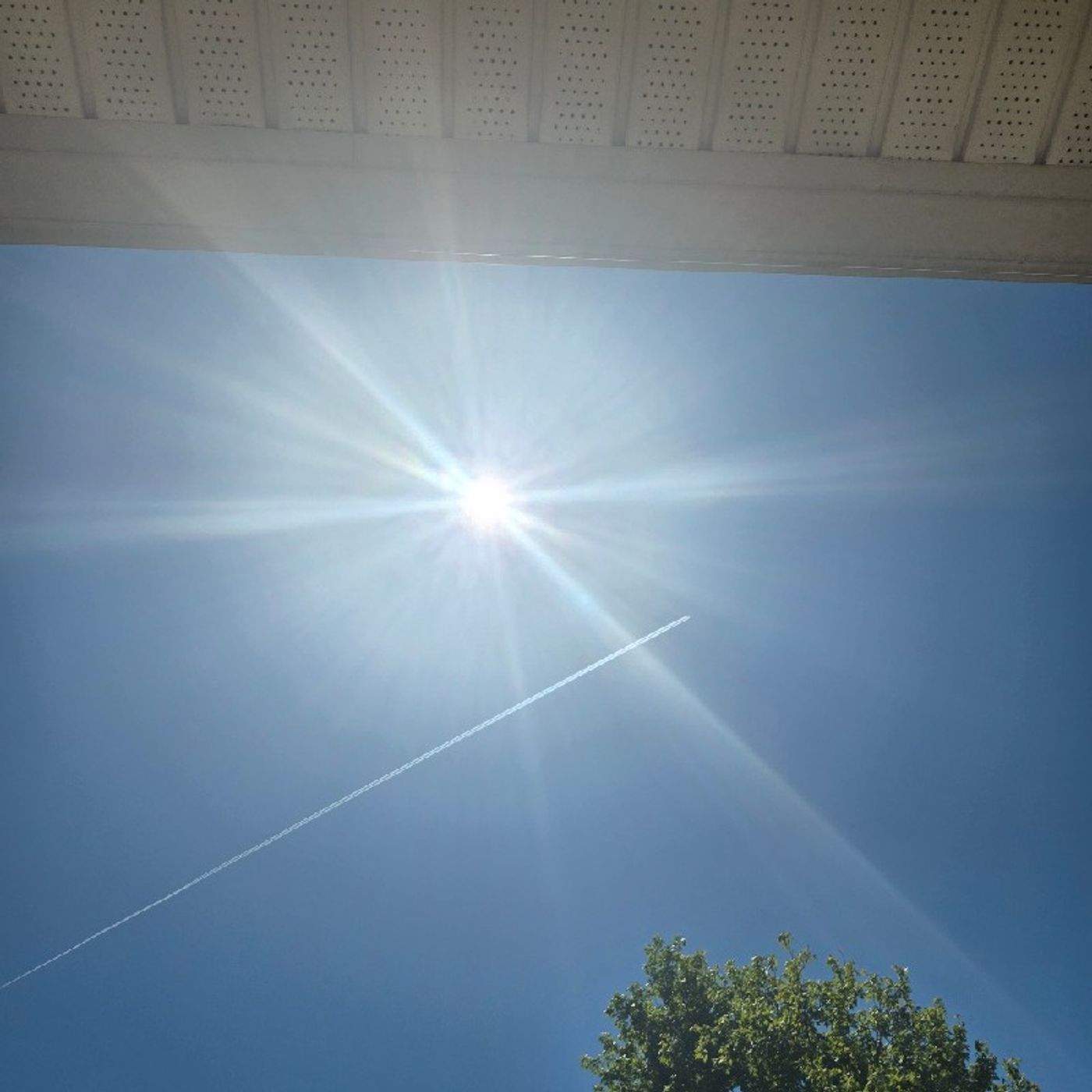 Episode 311 - 72 hours MCDONUGH GA!