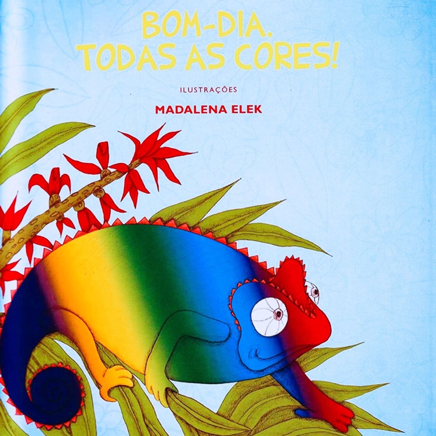 Bom-dia, todas as cores!