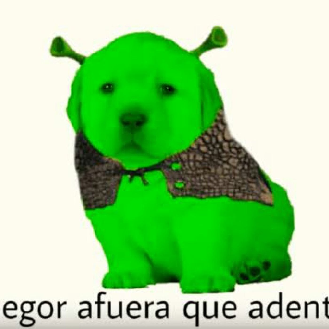 El show de Karla Alva
