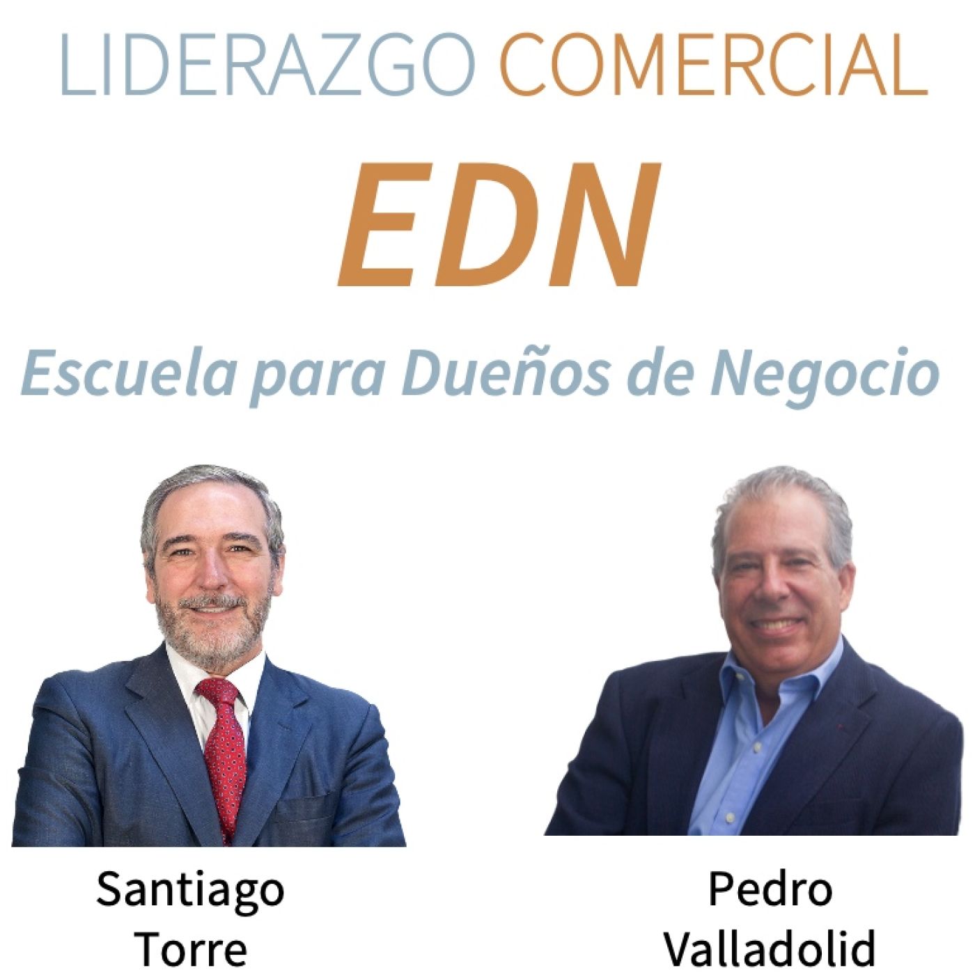 Liderazgo Comercial